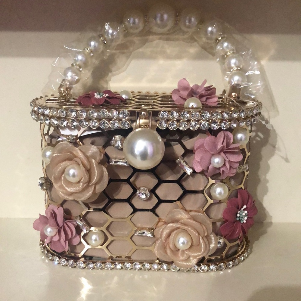 Fancy gold metal frame bag with removable pouch